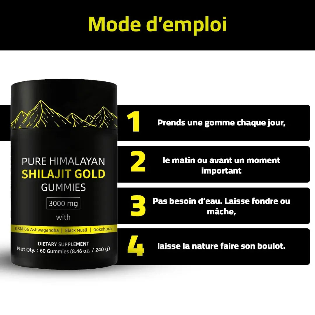 🚀 Gommes de Shilajit Himalaya – Booster Naturel de Testostérone & Énergie