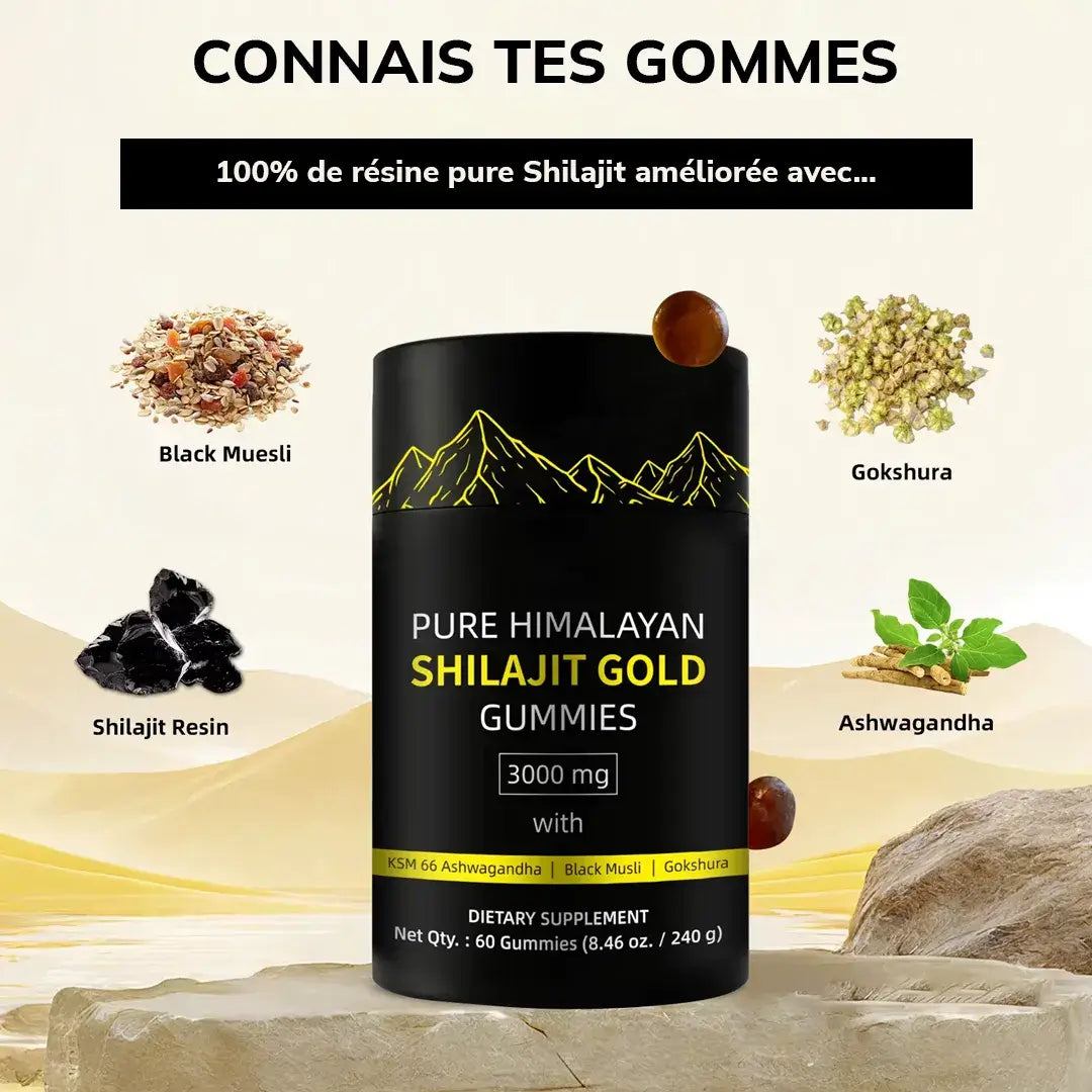 🚀 Gommes de Shilajit Himalaya – Booster Naturel de Testostérone & Énergie