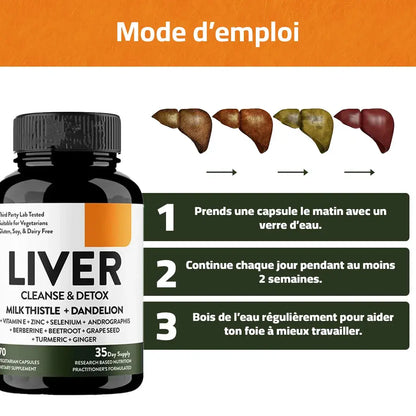 Nettoyez votre foie, protégez votre santé dès aujourd’hui !